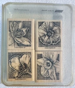 Stampin' Up! 2003 Juego de 4 sellos de goma montados Perfect Petals Botanicals de colección - Imagen 1 de 5