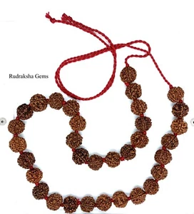 RUDRAKSHA 2,3,4,5,6,7 MUKHI JAPA MALA KANTHA NEPALESE 32+1 COLLECTOR BEADS YOGA - Picture 1 of 8