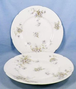2 Theodore Haviland Dessert Plates Schleiger 162 125 Blue White Flowers Antique - Picture 1 of 6