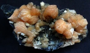 STUNNING STILBITE BOWS FORMATION ON MATRIX MINERALS SPECIMENS - Picture 1 of 5