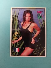 1994 WOMEN OF THE WORLD Sexy TRADING CARD ~ CHARISMA CARPENTER ~ FRANCE # 84