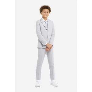 OppoSuits Teen Boys Groovy Grey Solid Color Suit - Prom And Wedding - Picture 1 of 8