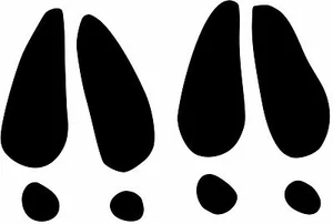 Deer Tracks Prints Pair vinyl sticker decal U Choose Size & Color - Picture 1 of 2