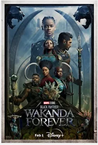 Black Panther: Wakanda Forever 27" x 40" Disney+ Linked Members Movie Poster - Picture 1 of 3