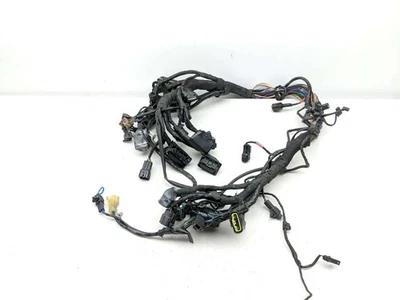 Telar arnés de cableado principal Triumph Street Cup 18 Foto 1 de 4