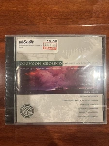 BRAND NEW SEALED Common Ground Voices Of Modern Irish Music CD FREE SHIPPING - Bild 1 von 3