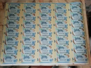 Solomon Islands - uncut sheet of 35 notes 5 Dollars 2019 UNC Polymer Lemberg-Zp - Picture 1 of 2