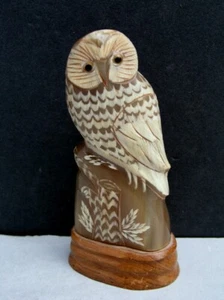Hand Carved Water Buffalo Horn - OWL Sculpture - on Wood Base - Picture 1 of 4