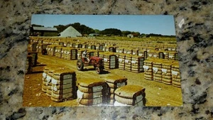 Vintage post card photo bales of cotton ready for market - Picture 1 of 4