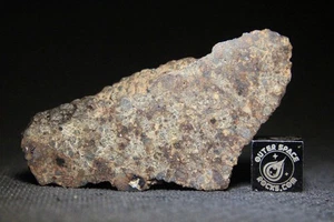 Northwest Africa 16665 LL4 meteorito condrita 31,5 g corte final - Imagen 1 de 3