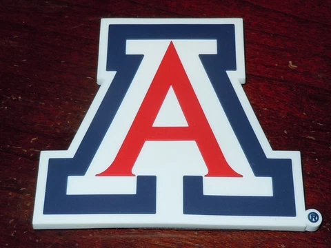 ARIZONA WILDCATS Vintage NCAA Thick RUBBER PAC 10 FRIDGE MAGNET Standings Board Cover