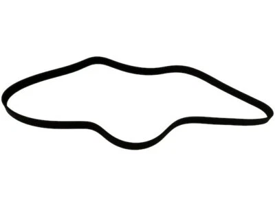 Ventilador de correa multi costilla para aire acondicionado Western Star 4900EX 2002-2007 67681FJ Foto 1 de 2