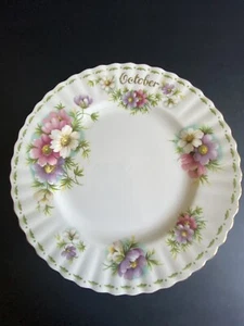 Royal Albert FLOWER OF THE MONTH Bone China Salad Plate October Cosmos - Imagen 1 de 4