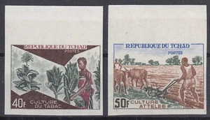 TCHAD : CULTURE NON DENTELES NEUFS ** LUXE GOMME SANS CHARNIERE - Imagen 1 de 2
