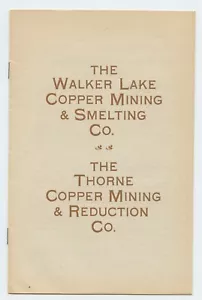 1905 THE WALKER LAKE COPPER MINING & SMELTING CO. Nevada Brochure - Picture 1 of 9