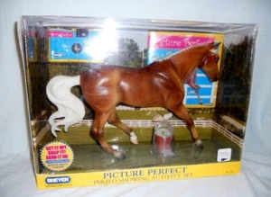 Breyer Pferd 1291 Picture Perfect Photo TB Activity Set nur Juli – Dez 2007 Neu in OVP - Bild 1 von 7