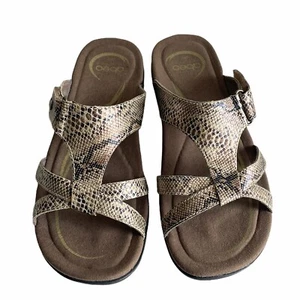 Obeos Shoes Women’s Sz 7 Sandals Slides Reptile Print New In Box Leucadia 4454 - Picture 1 of 9