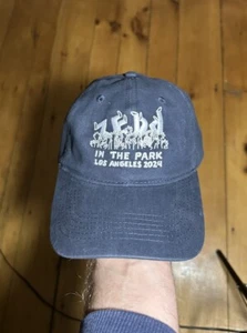 Brand New 2024 Zedd In The Park Los Angeles EDM DJ Concert Promo Blue Dad Hat  - Picture 1 of 2