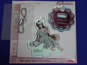 Hades Setsuna Pochacco Sailor Moon Sanrio Characters Stand Mini Acrylic Keychain - Picture 1 of 1
