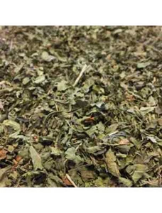 Zitronenverbene (Aloysia citrodora) - 80 Gramm - Bild 1 von 1