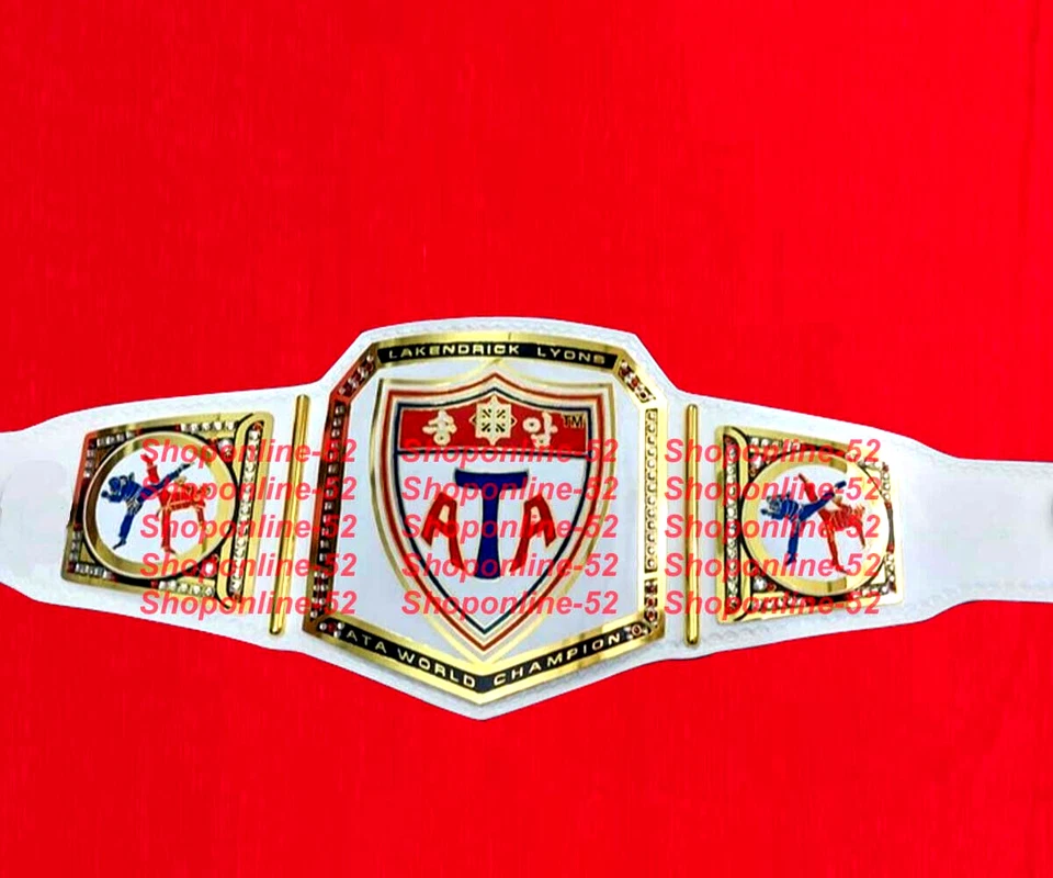 Martial Arts Taekwondo Custom Championship Trophy Belt Adult Size 2mm Brass - Image 1 of 1