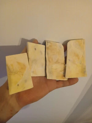 156.MATERIAL MANGO CUCHILLO.ESCALAS CUERNO DE ALCE.(NATURAL). Foto 1 de 4