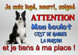 chien border metal collie attention plate 29x20cm pierced ref 51board - Picture 1 of 1