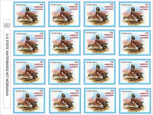 NEBRASKA STATE WATERBIRD - THE AMERICAN WIDGEON - 12 PRO BLATT - Bild 1 von 1