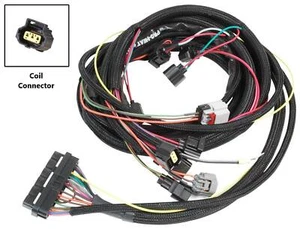 MSD-88864 MSD Wiring Harness, 6-Hemi Ignition to Coil Packs, Mopar Hemi V8 Modul - Picture 1 of 1