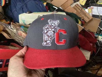 ZEPHYR Cornell Big Red Bears Snapback Hat Red Flat Bill NCAA Mascot - Image 1 of 4
