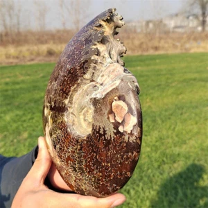 1.89kg Natural Ammonite Fossil Reiki Crystal Specimen Mineral Crystal Decor Gift - Picture 1 of 12