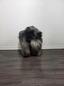 Island Lammfell Teppich | Lammfellteppich - weiche seidige lange Wolle #C481 - Bild 1 von 9