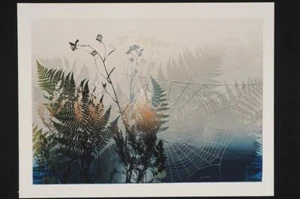 Elton Bennett Reproduction Print- The Web- 18" X 12 5/8" - Picture 1 of 1
