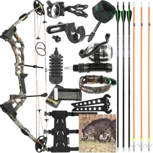 Compound Bow Arrow Set 0-70lbs Adjustable Archery Bow Hunting Shooting 320fps - Picture 1 of 21