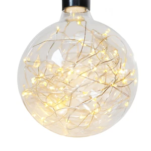 G125 LED Light Bulb with Warm White Micro LED Fairy Lights - Picture 1 of 4