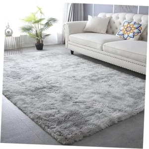 Shag Area Rug,Indoor Ultra Soft Fluffy Plush Rugs 4x6 Feet Tie-dyed Light Gray - Picture 1 of 6