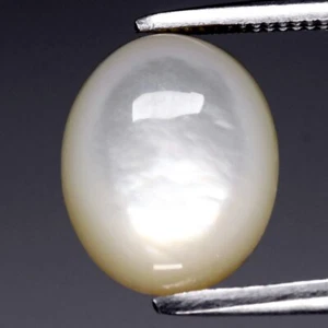💎 1.51ct 10x8mm Oval Cabochon Natural White Pearl Shell - Thailand Gemstone - Imagen 1 de 4