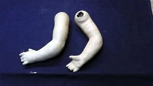 Antique composition doll arms, 5.4", 1920s, Germany - Picture 1 of 4