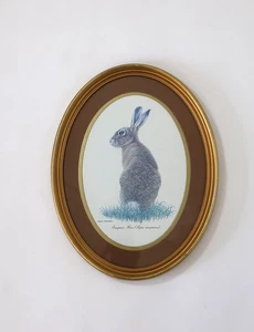 Vintage Art Print Hare Rabbit Animal Gold Oval Frame Size 13” X 10” - Picture 1 of 7