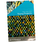 Young Projects : Figure, Cast, Frame - Bryan Young (2022, Hardback) Z3