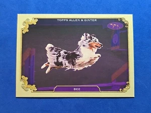 2024 BEE Topps Allen & Ginter #SOS-3 Stars Of The Show Westminster - Picture 1 of 2