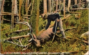 Postal Cazador de Alces Nariz Suave Bala Big Bull of the Tetons Wyoming 1908 10030 - Imagen 1 de 2