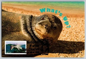 #5713h National Marine Sanctuaries Hawaiian Monk Seal FDC Maxi Card - Picture 1 of 2