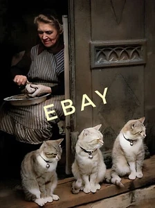 Vintage Photo reprint of Old Italian Woman & her Three Cats on a Ledge 🐱 - Picture 1 of 1