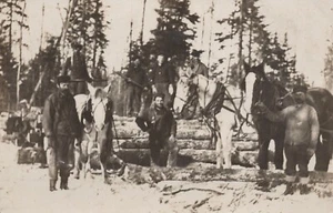Escena de registro - Smith Lake, Minnesota - RPPC sin publicar - Imagen 1 de 3