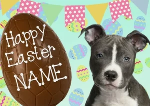 Tarjeta de felicitación personalizada Staffordshire Bull Happy Easter A5 huevo de chocolate EE19 - Imagen 1 de 1