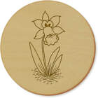 'Daffodil Face' Coaster Sets (CR021328)
