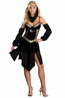  Harem Nights Dreamgirls Adult Costume Halloween - Image 1 of 3