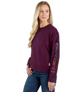 NWT Carhartt Women's Tencel Fiber Series Loose Fit Sleeve Graphic Sweatshirt XS - Picture 1 of 8