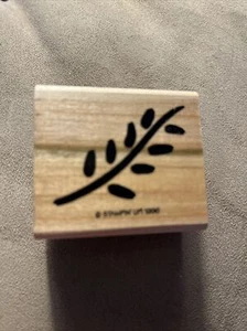 Stampin Up Wood/Rubber Stamp Branch 2” x 1.75” New - Picture 1 of 2